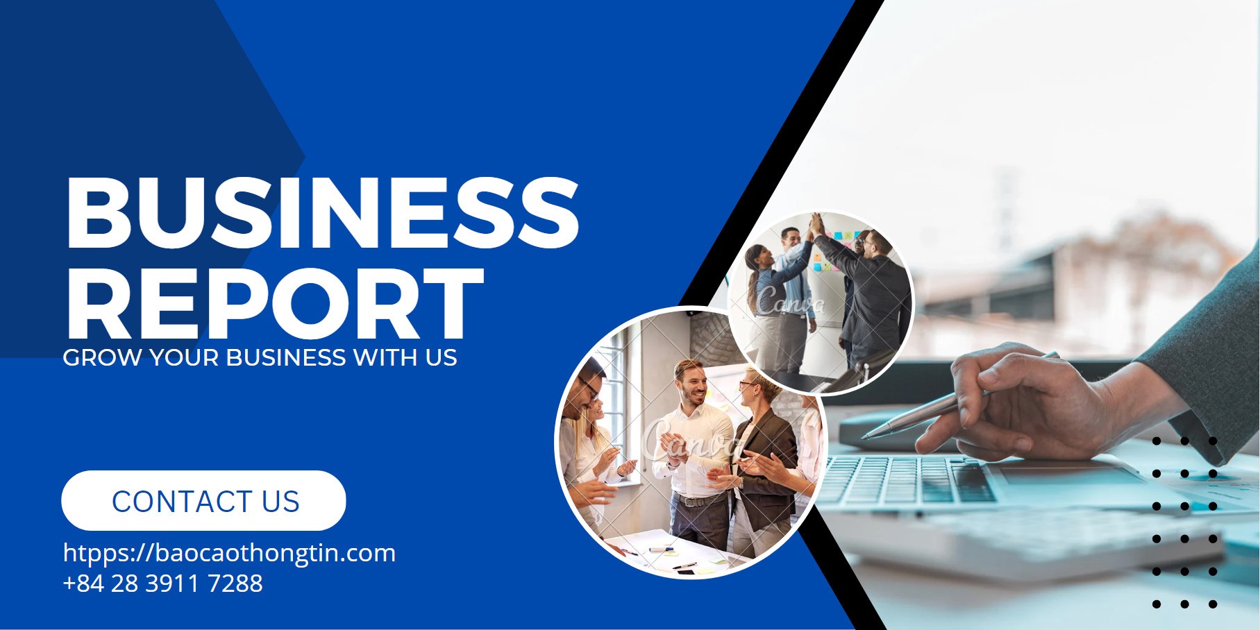 business-reports