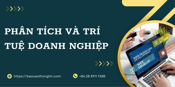 354-phan-tich-va-tri-tue-doanh-nghiep-2