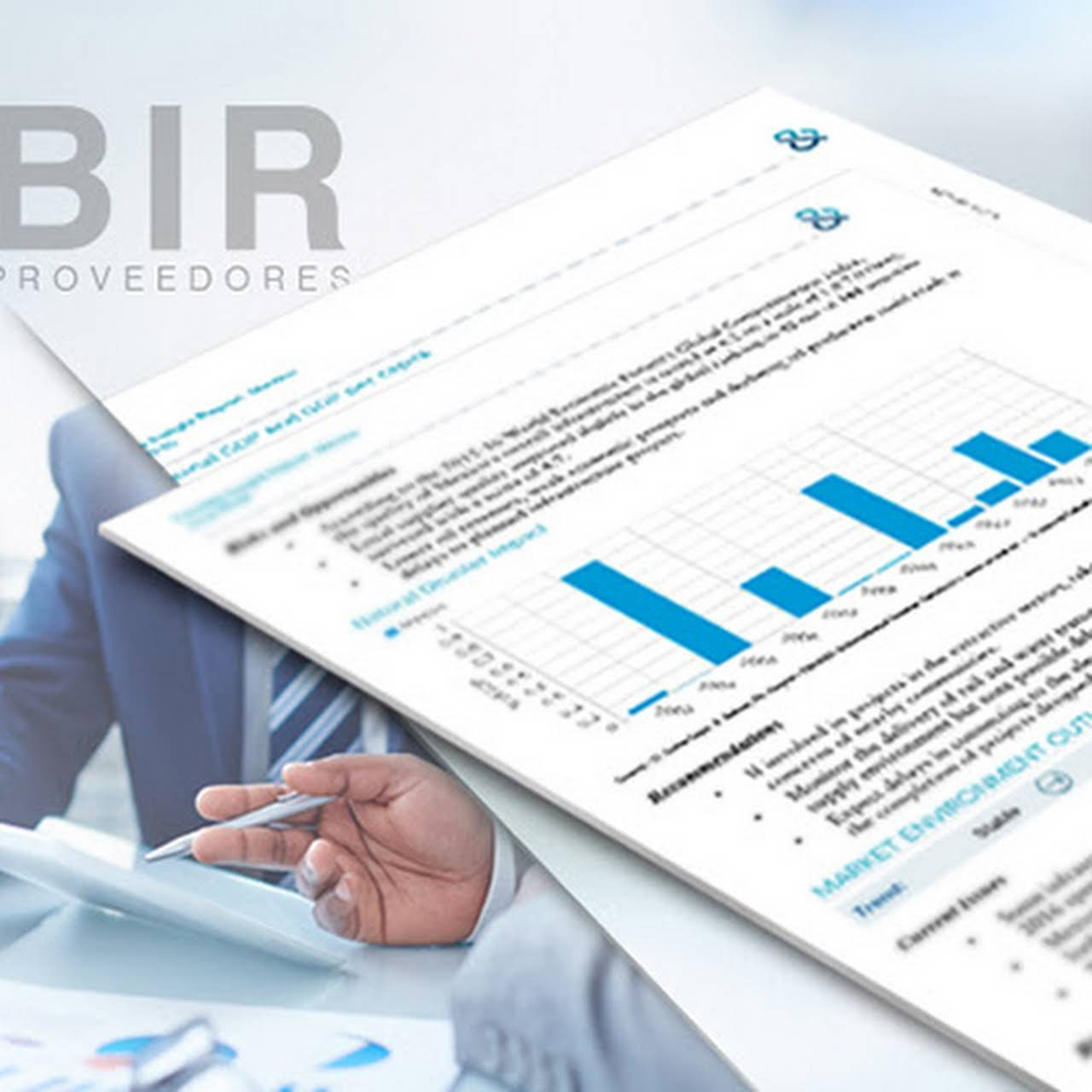 BIR - báo cáo thông tin doanh nghiệp