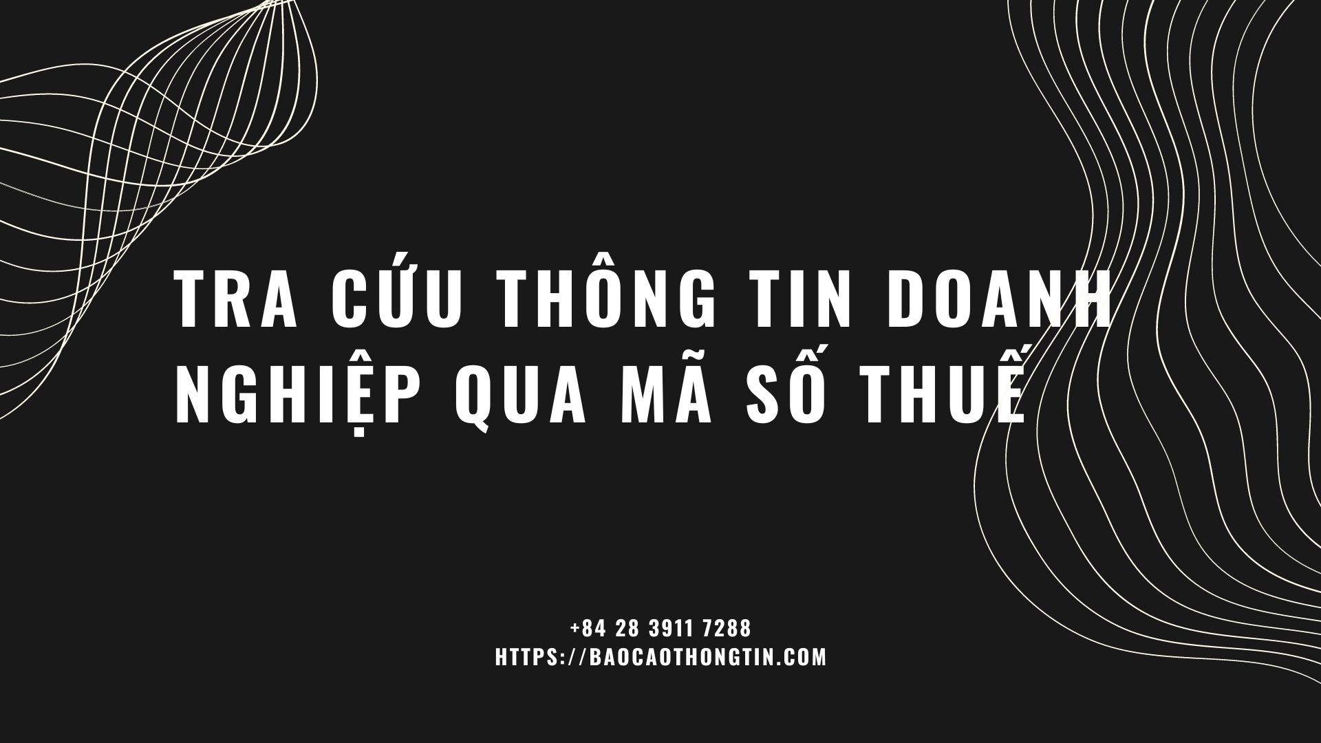 tra-cuu-ma-thong-tin-doanh-nghiep-qua-ma-so-thue