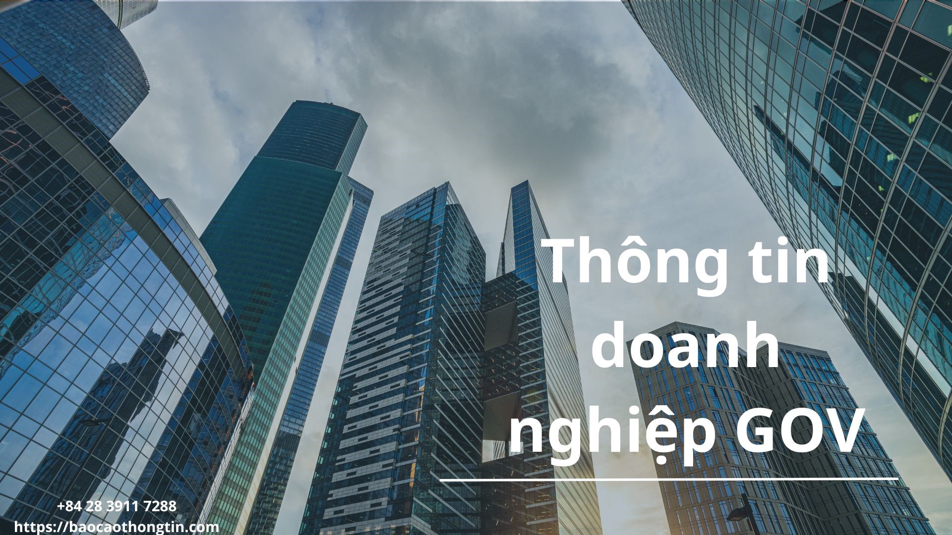 thong-tin-doanh-nghiep-gov