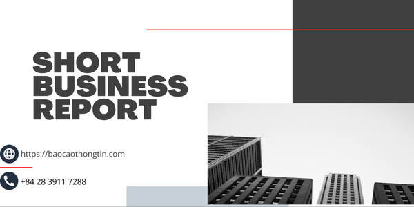 445-short-business-report-1