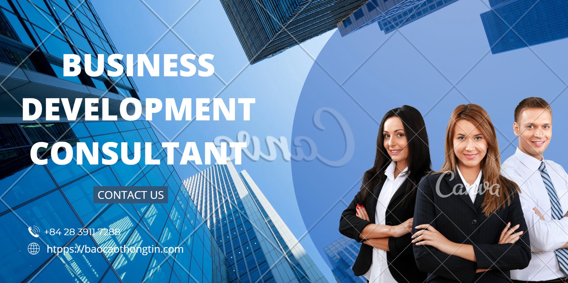 business-development-consultant