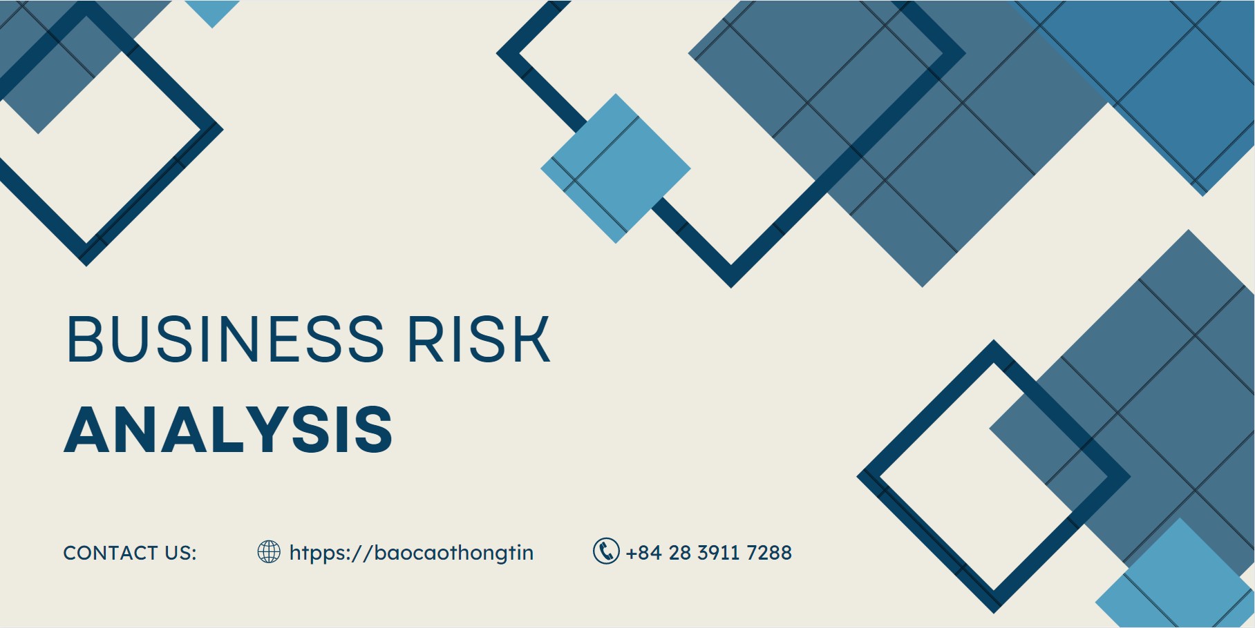business-risk-analysis