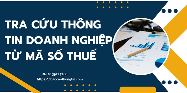 308-tra-cuu-thong-tin-doanh-nghiep-tu-ma-so-thue-1