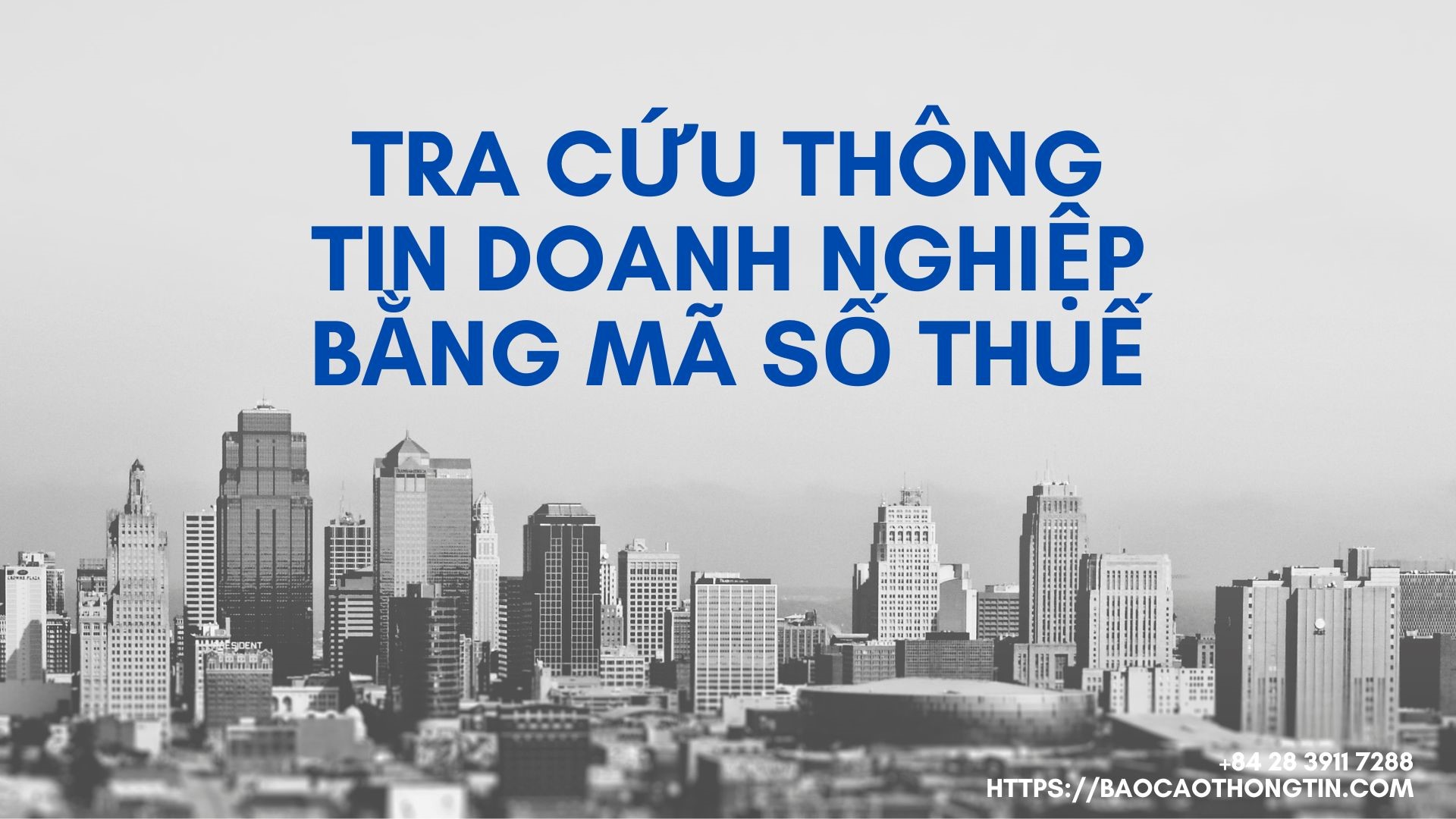 tra-cuu-ma-thong-tin-doanh-nghiep-bang-ma-so-thue