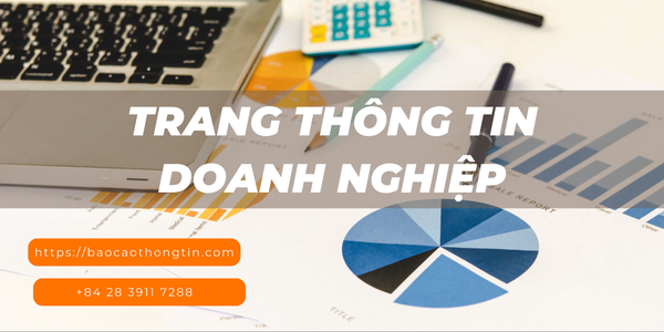 312-trang-thong-tin-doanh-nghiep-2