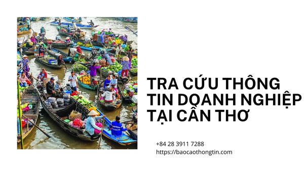 296-tra-cuu-thong-tin-doanh-nghiep-tai-can-tho