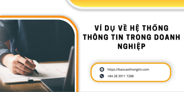 315-vi-du-ve-he-thong-thong-tin-trong-doanh-nghiep-2
