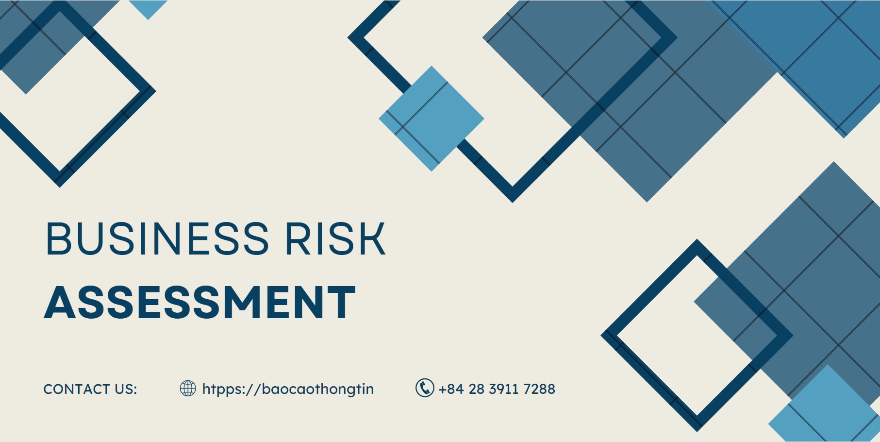 Business Risk Assessment